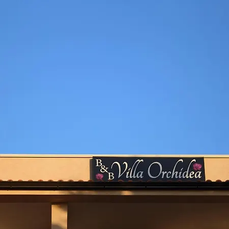 Orchidea 4* 里卡迪