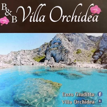 Orchidea Couette-café