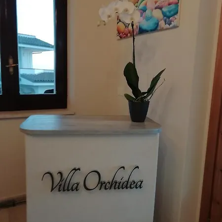 Orchidea 4* Ricadi