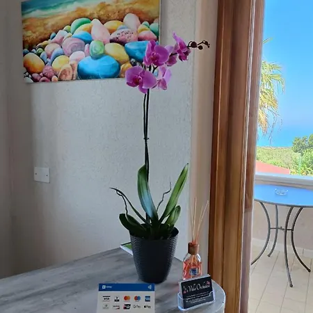 Orchidea