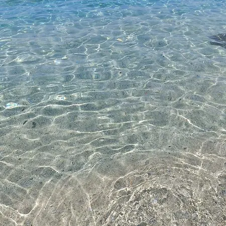 Orchidea Bed & Breakfast