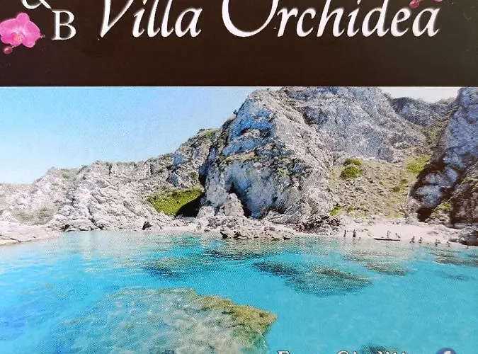 Orchidea Bed & Breakfast