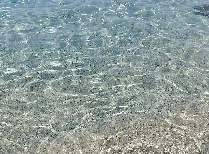 Orchidea Bed & Breakfast