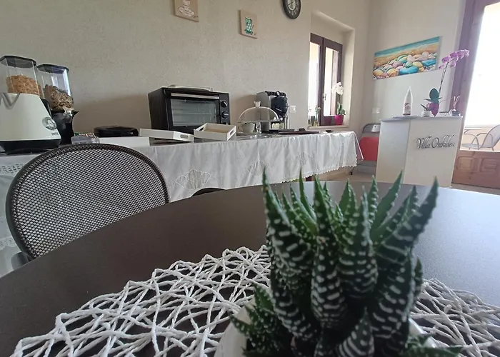 Bed & Breakfast Orchidea Ricadi