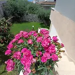 Orchidea 4*