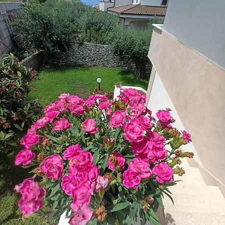 Orchidea 4*